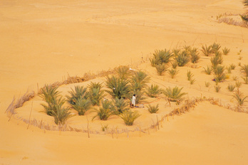 Le massif de l'Adrar