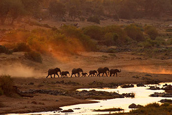 Parc national de Gorongoza