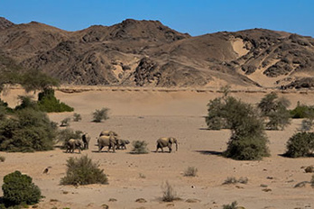 Hoanib & Skeleton Coast