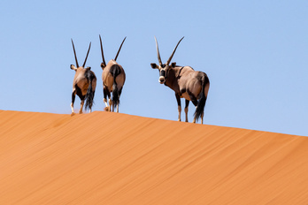 La Namibie du Nord au Sud