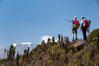 Kilimandjaro par la voie Machame