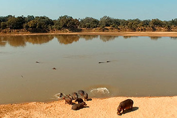 Parc national de Luangwa