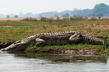 Mana Pools