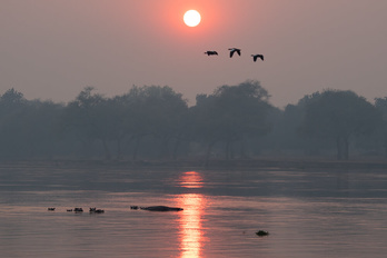 L'essentiel du Zimbabwe & Canoë sur le Zambèze