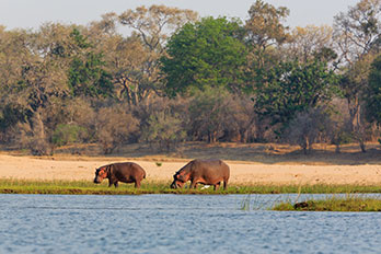 L'essentiel du Zimbabwe & Canoë sur le Zambèze