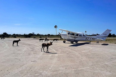 Vol Kalahari - Delta de l'Okavango