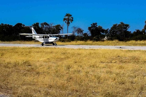 Lower Zambezi - Livingstone