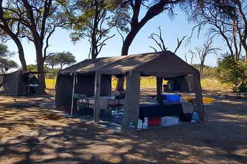 Camp itinérant Très Confort