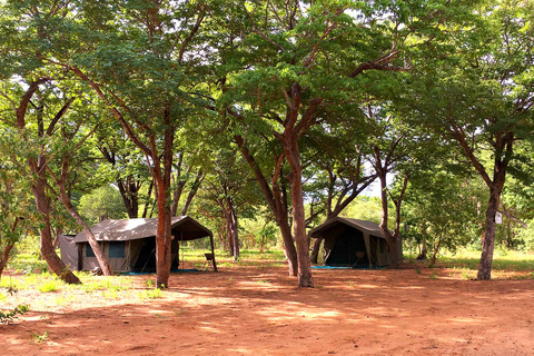 Camp itinérant Très Confort