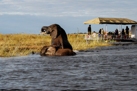 Chobe