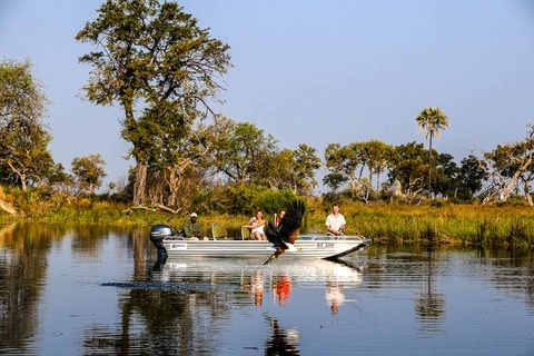 Delta de l'Okavango - 5 à 6h de safari