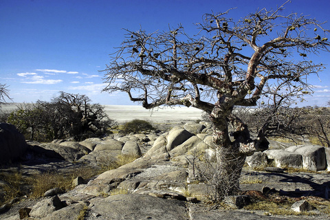 Kalahari - Makgadikgadi pans