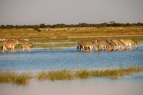 Makgadikgadi Pans