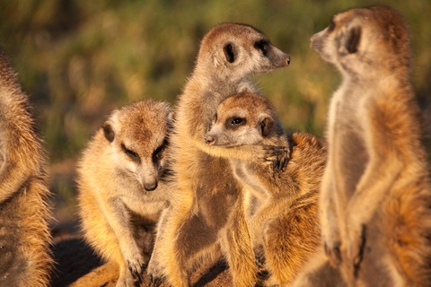 Makgadikgadi Pans