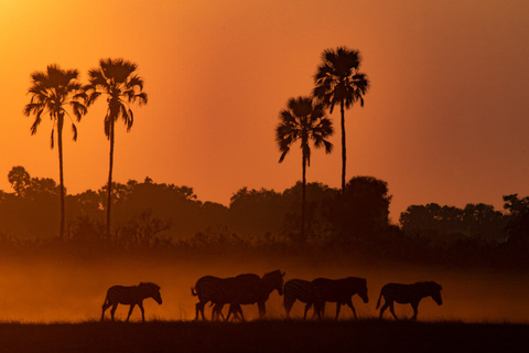 Delta de l'Okavango