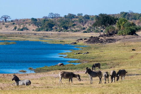 Savuti - Parc national de Chobe