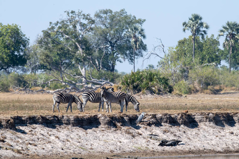 Parc National de Chobe - Victoria Falls