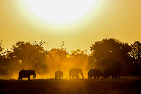 Okavango - Maun - Johannesburg