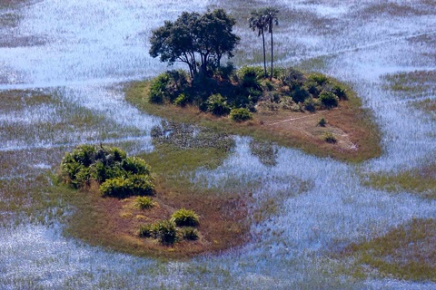 Johannesburg - Maun - Delta de l'Okavango