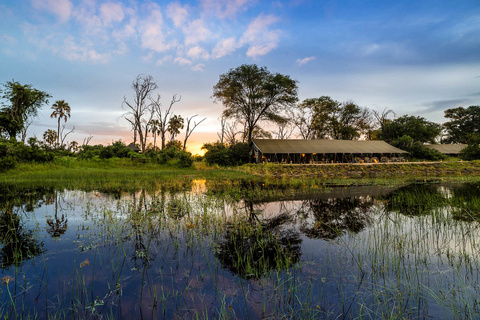 Gomoti Plains Camp