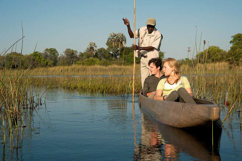 Delta de l'Okavango