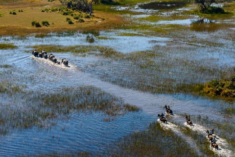 Safari dans le delta de l'Okavango