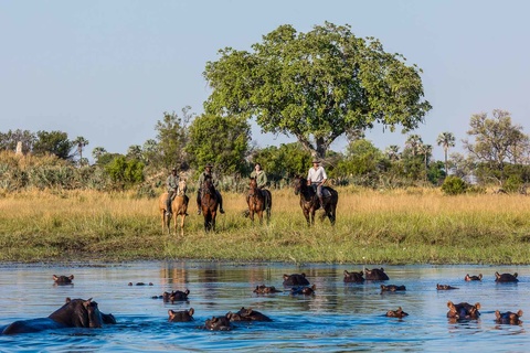 Delta de l'Okavango - 5 à 6h de safari