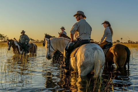 Delta de l'Okavango - 5 à 6h de safari