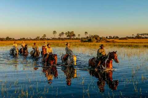 Safari dans le delta de l'Okavango (2h)