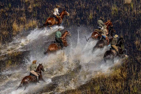 Delta de l'Okavango - 5 à 6h de safari