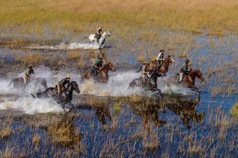 Delta de l'Okavango - 5 à 6h de safari