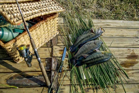 Delta de l'Okavango - 5 à 6h de safari