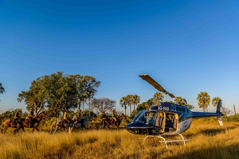 Delta de l'Okavango - 5 à 6h de safari