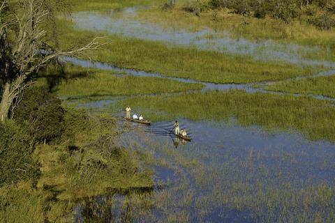 Delta de l'Okavango - 5 à 6h de safari