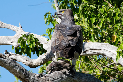 Parc National de Queen Elizabeth