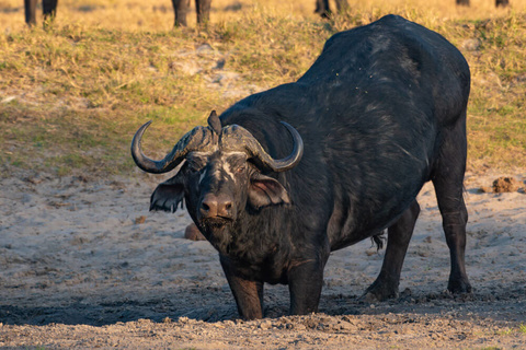 Parc National de Murchison.