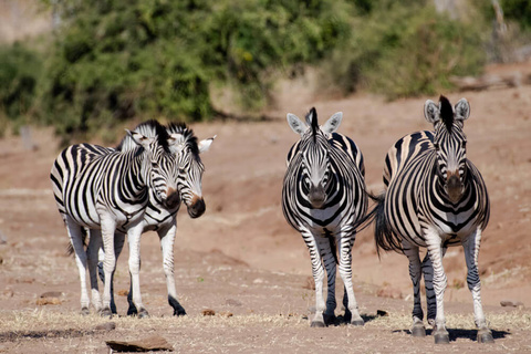 Karatu - N'Gorongoro - Karatu