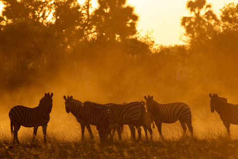 Sabi Sands