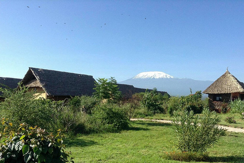 AA Amboseli Lodge