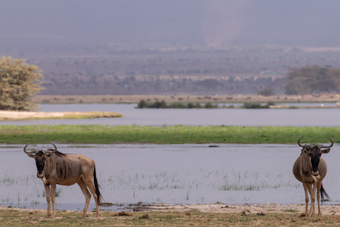 Amboseli