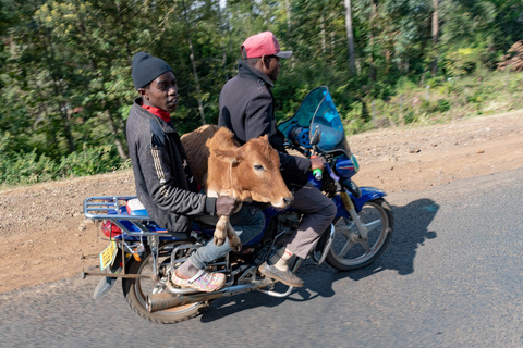 Nairobi - Meru