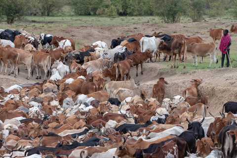 Nakuru - Masaï Mara