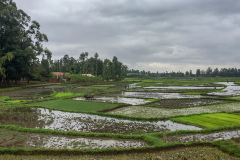 Nairobi - Meru