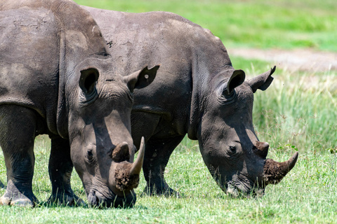 Baringo - Nakuru