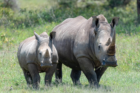 Baringo - Nakuru