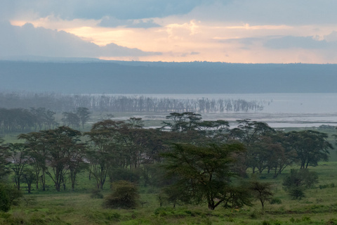 Naivasha - Amboseli