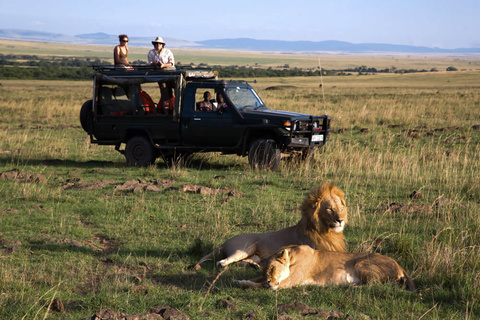 Plateau de Laïkipia - Masaï Mara