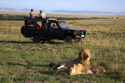 Nairobi - Masaï Mara