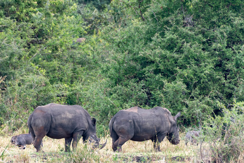 Parc National de Meru