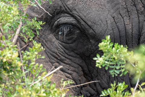 Parc National de Meru